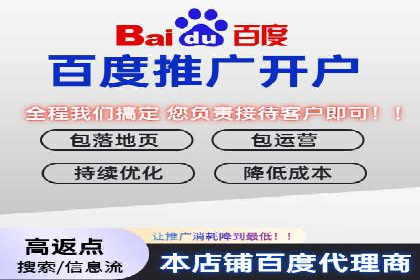百度搜索优化：成功案例分析及策略解析